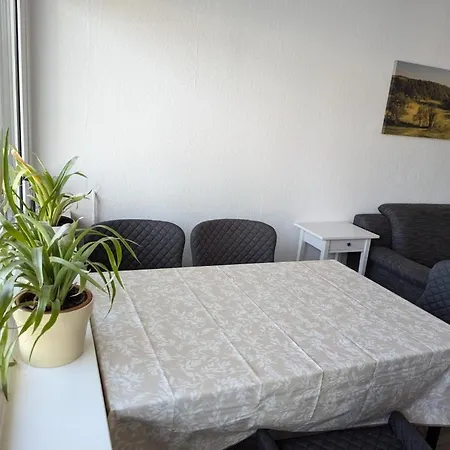Oker - Innenstadt - Balkon *